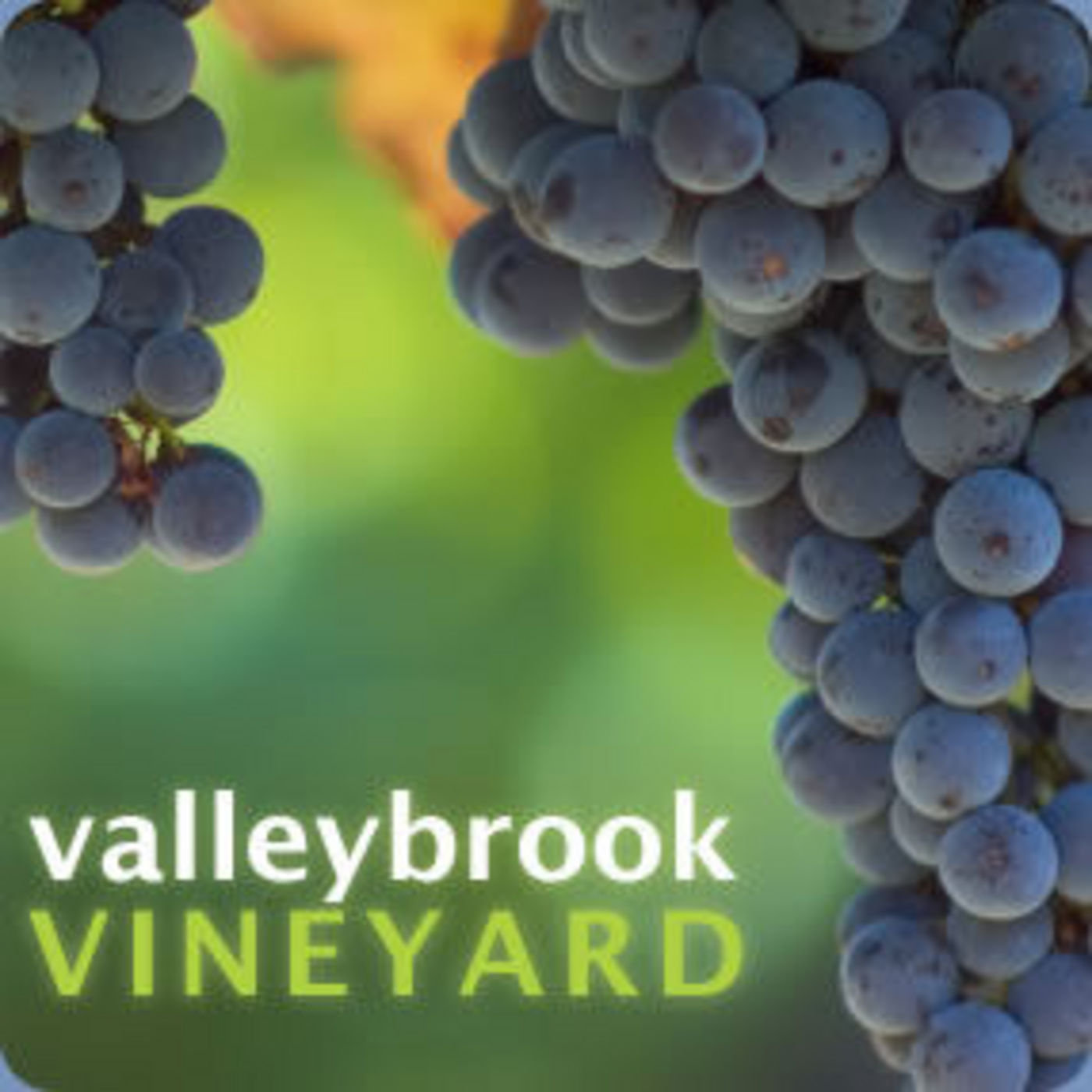 Valleybrook Vineyard Audio Sermons