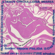 embed image