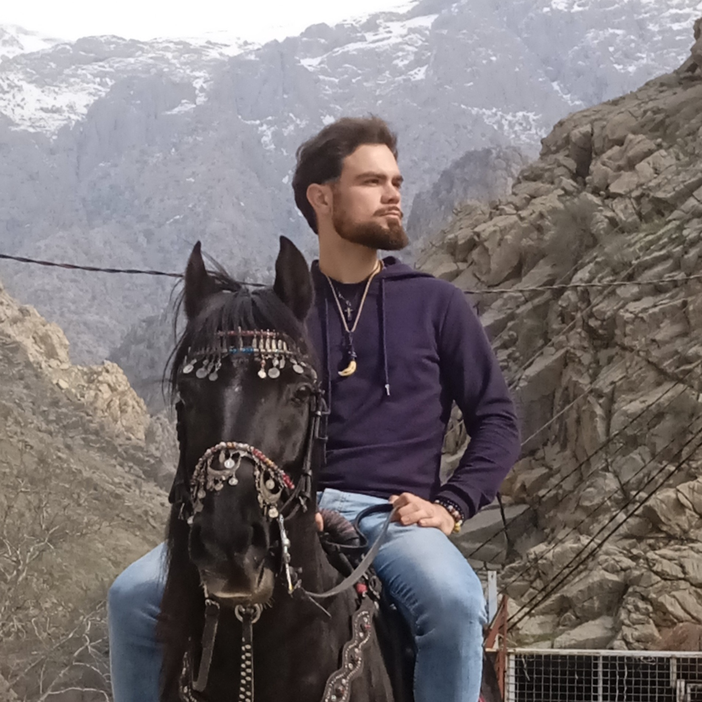 La Anábasis de Roberto cover art