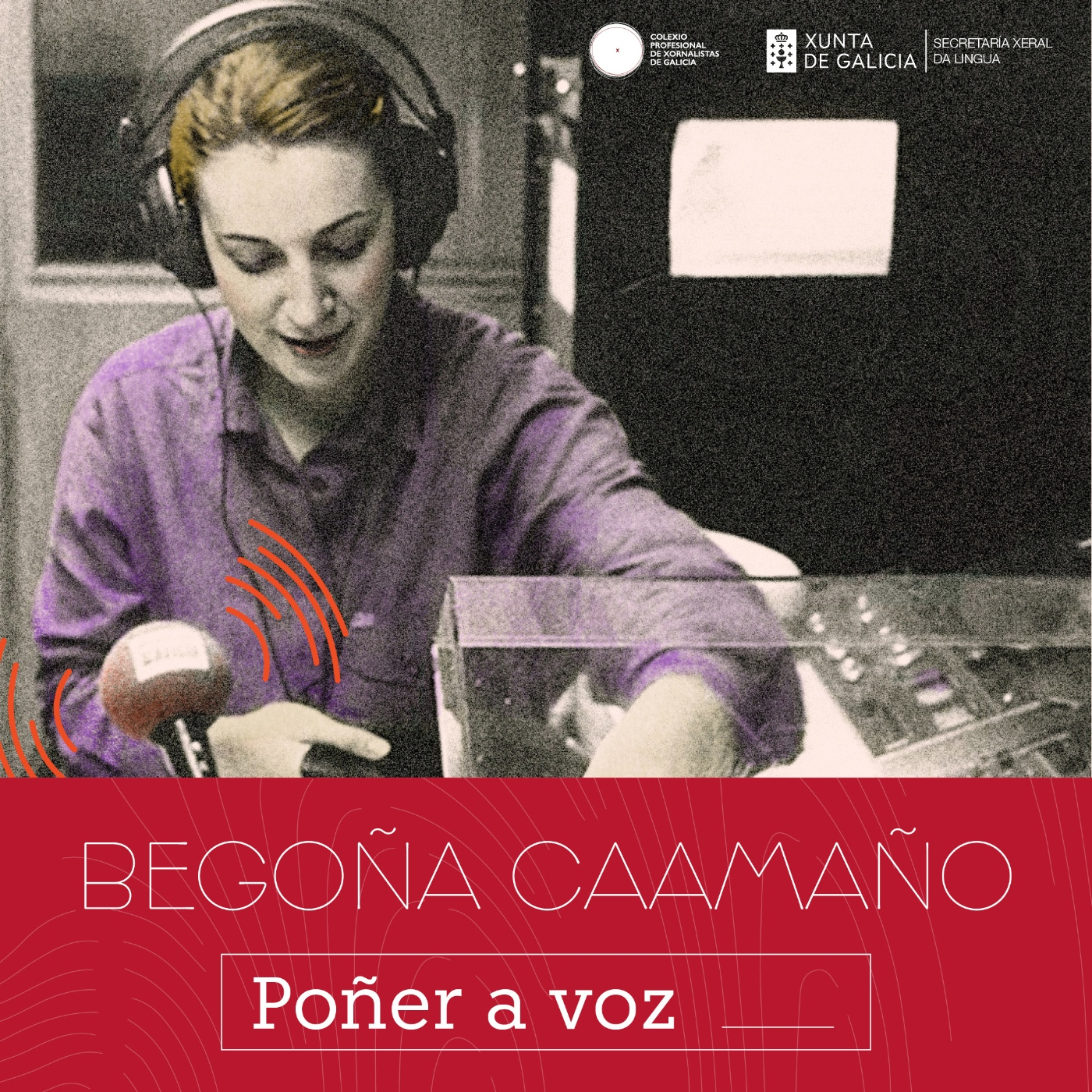 Poñer a voz