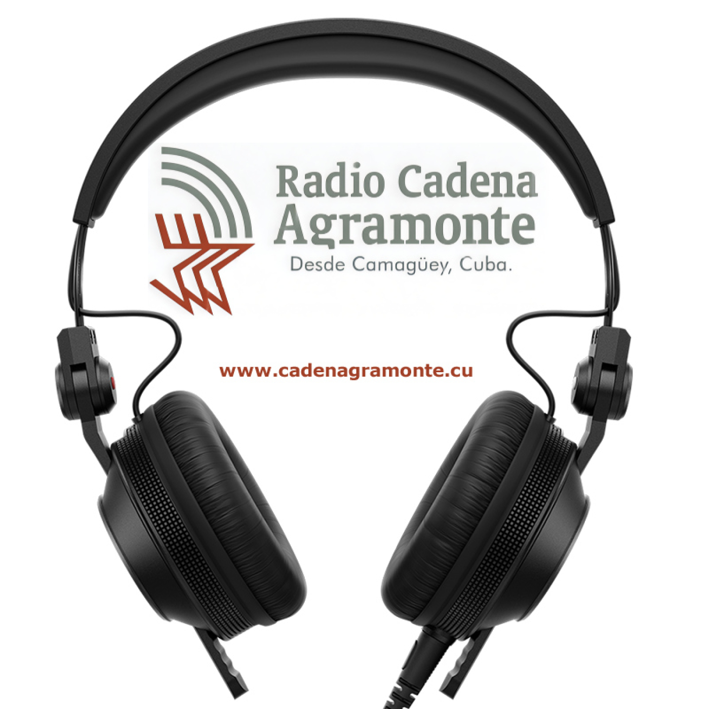 Canal de noticias