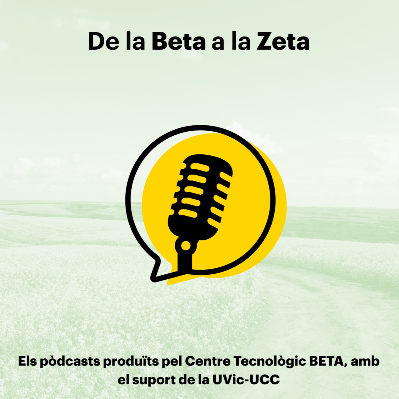 De la Beta a la Zeta