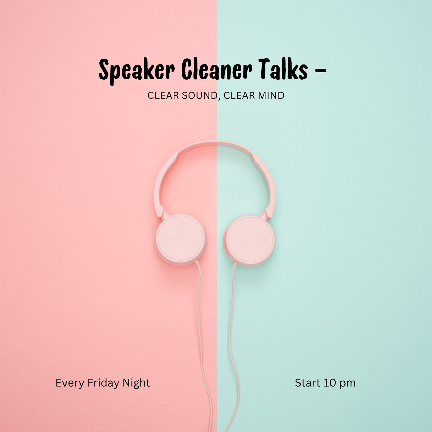 Speaker Clean Pro Talks