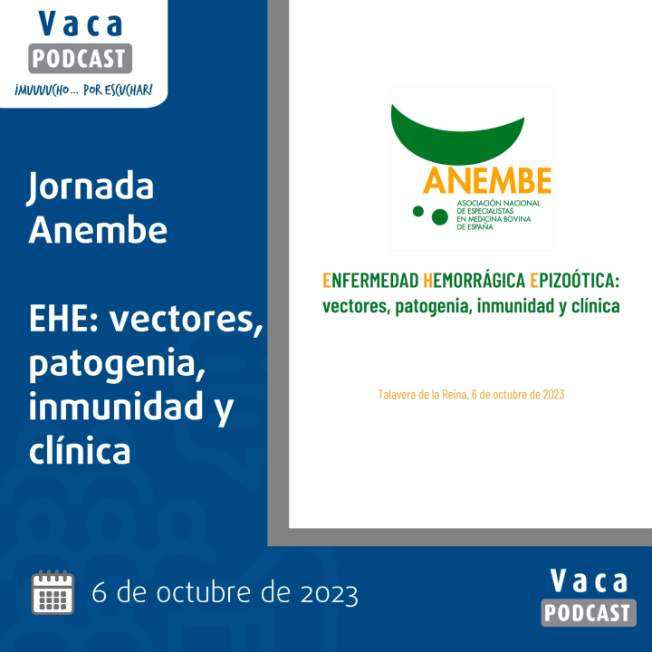 https://static-1.ivoox.com/canales/b/8/7/8/b878461bf4544f1fef64bc1fa25f324b_XXL.jpg