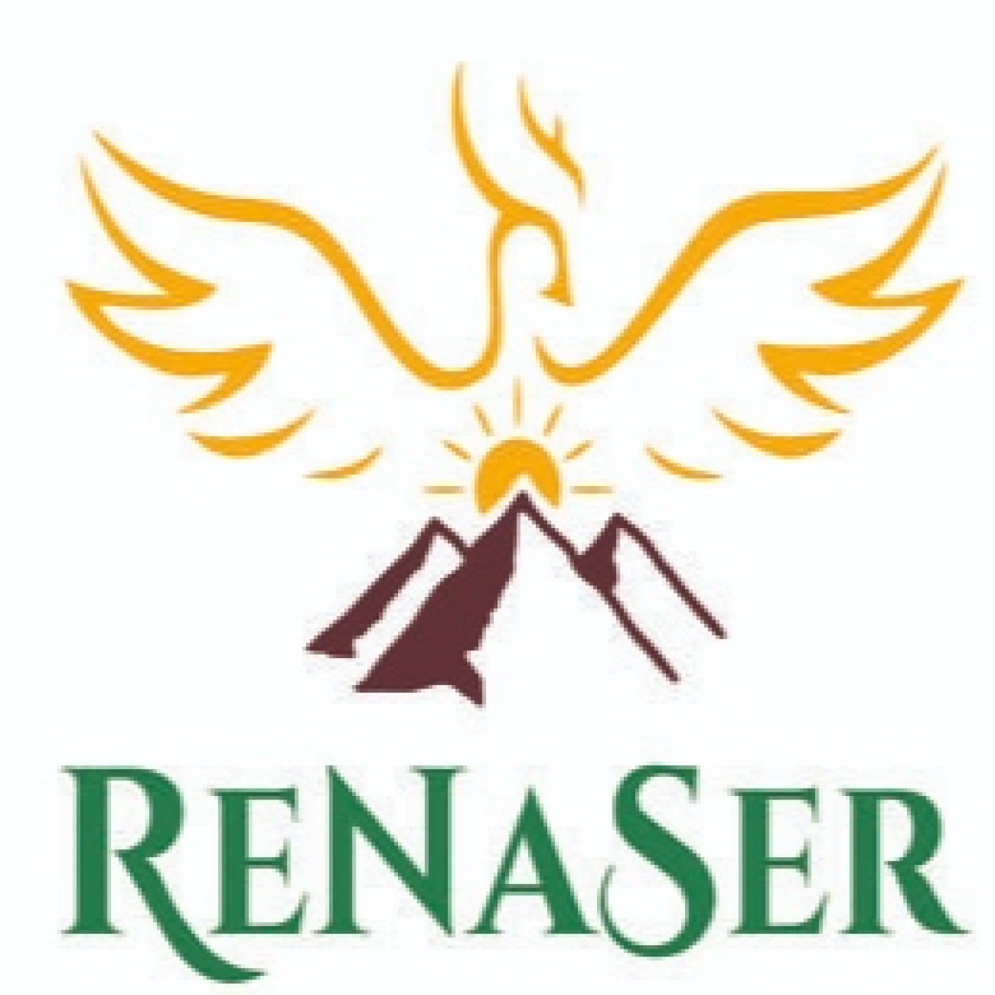 Podcast de Gino Giurfa