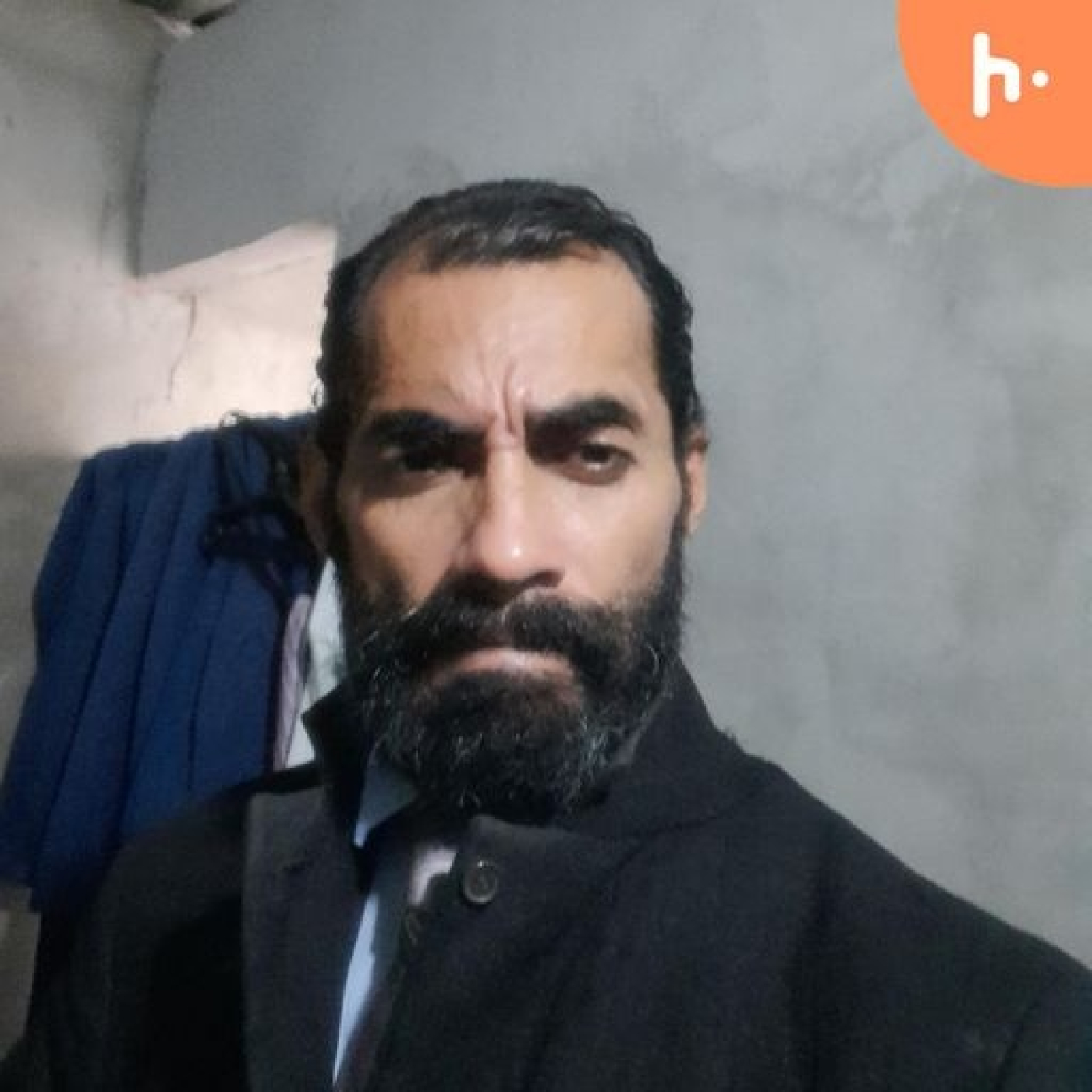 El deseo cumplido es arbol de vida