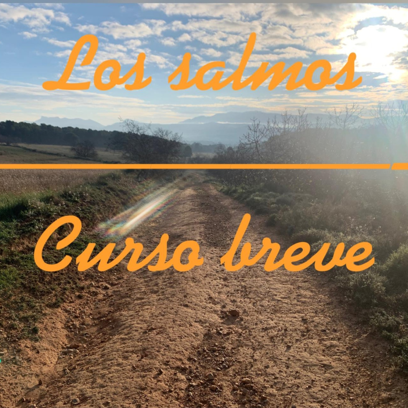 LOS SALMOS: CURSO BREVE
