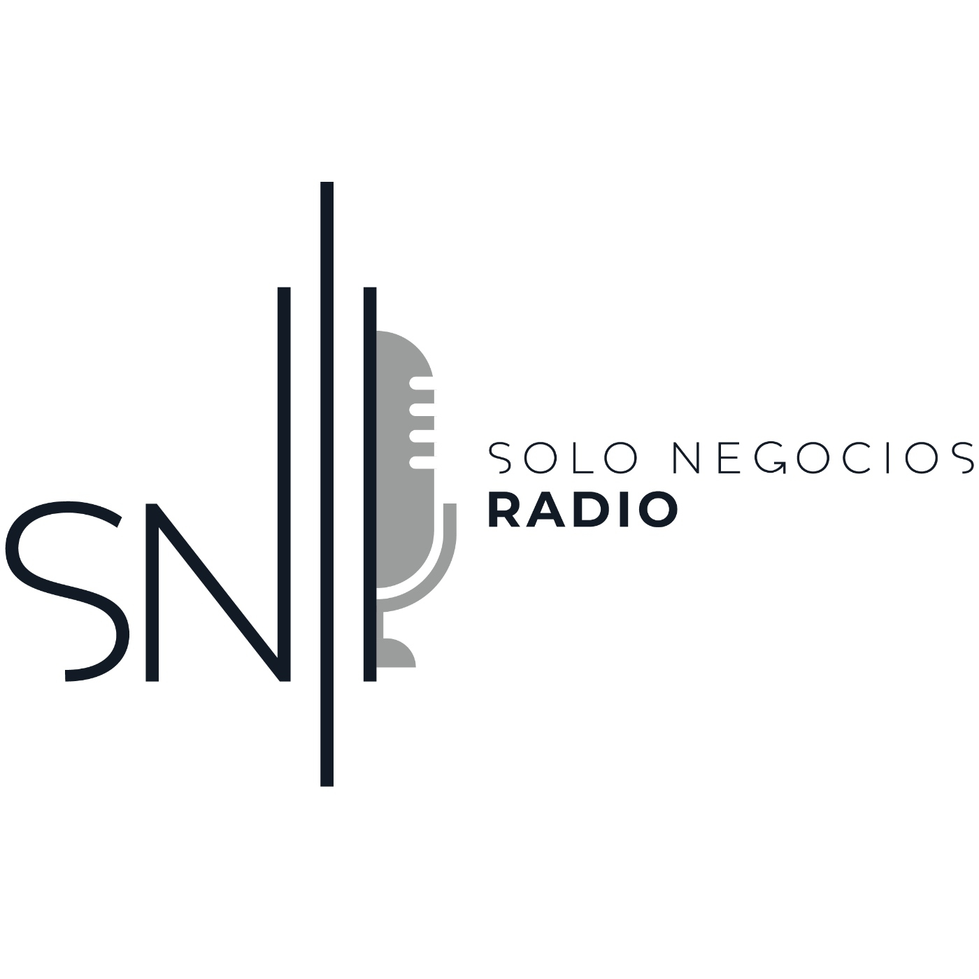 Solo Negocios Radio