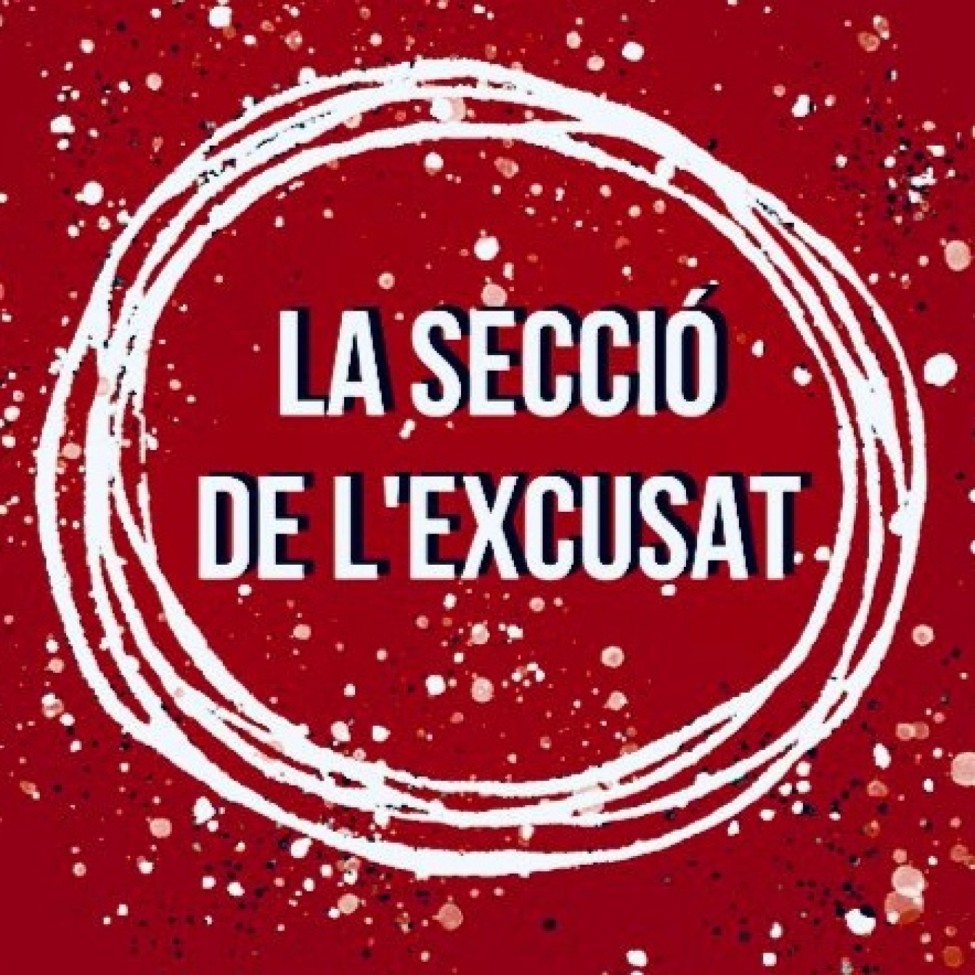 La Secció del Excusat