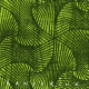embed image