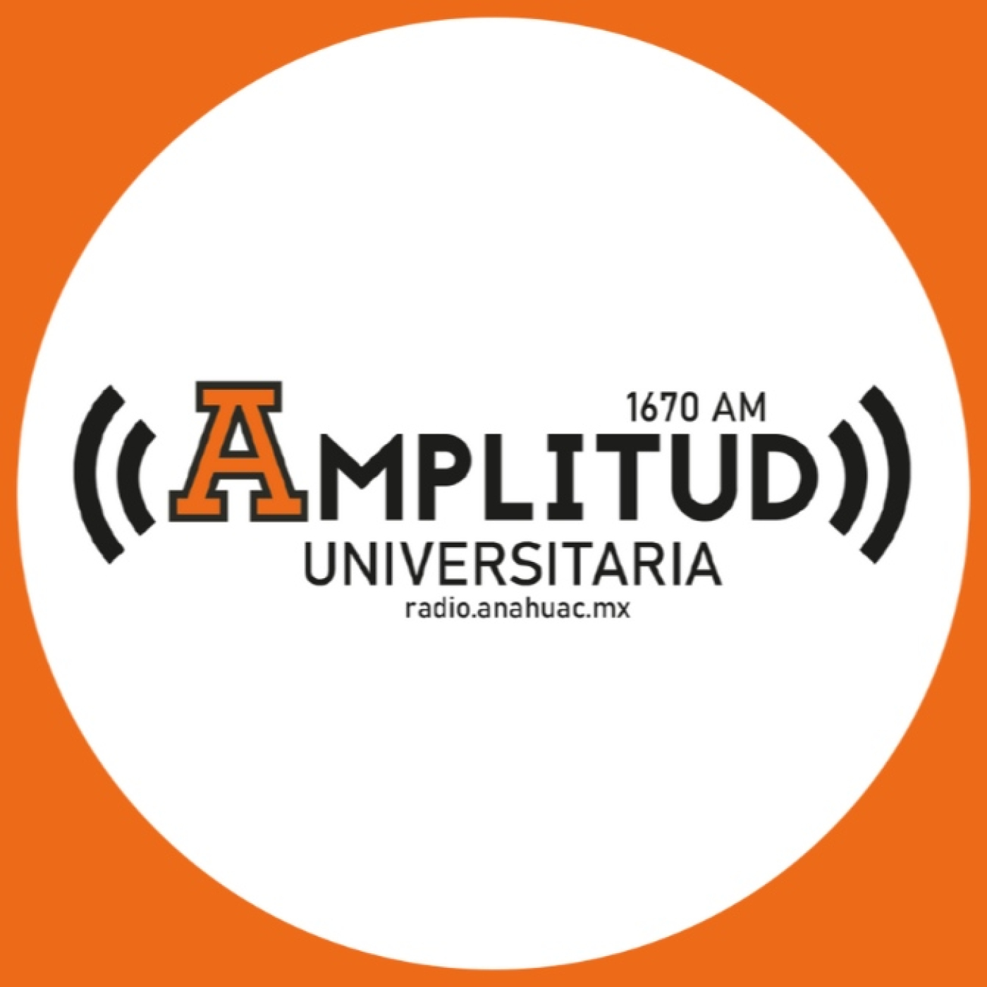 Amplitud Universitaria - Ceneval.