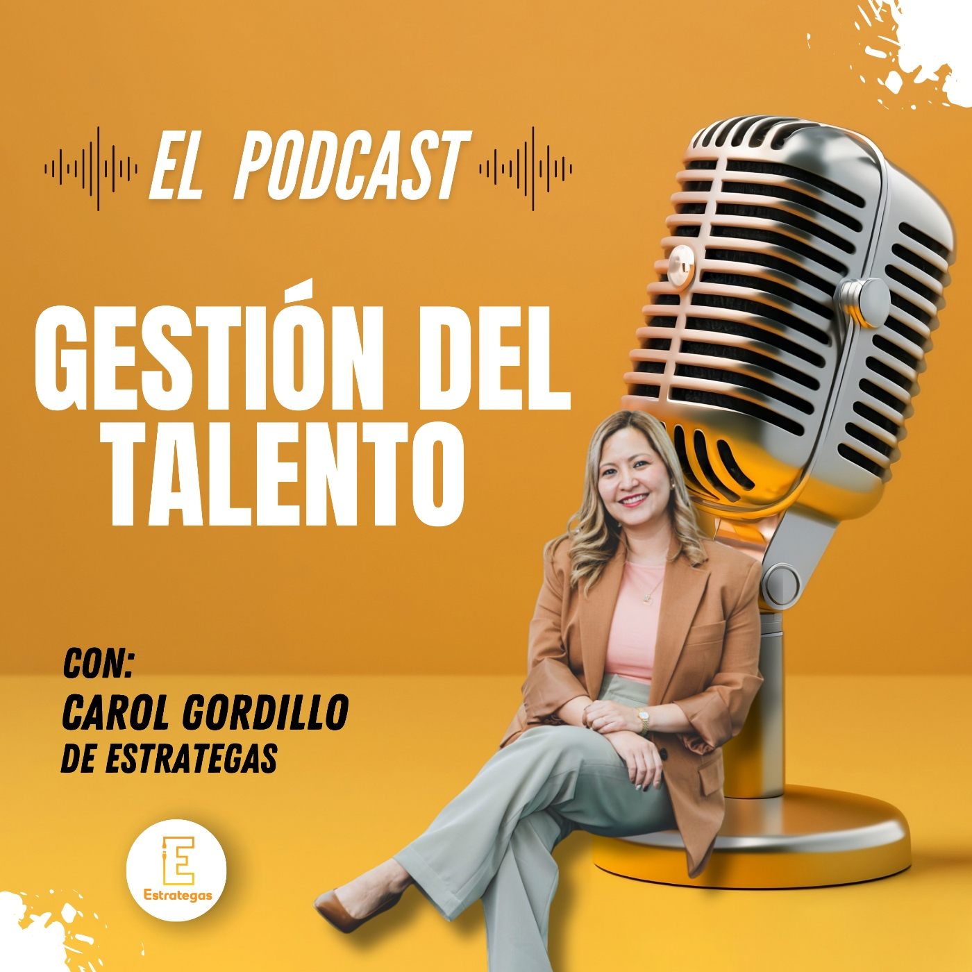 Podcast Image