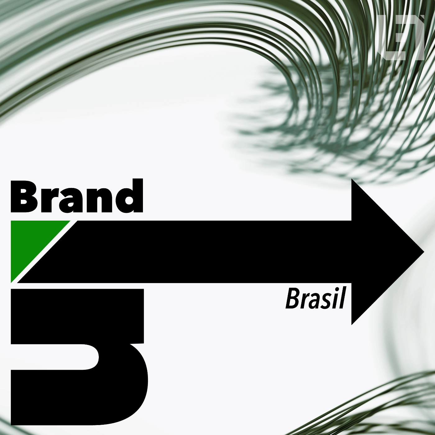 BrandIn Brasil
