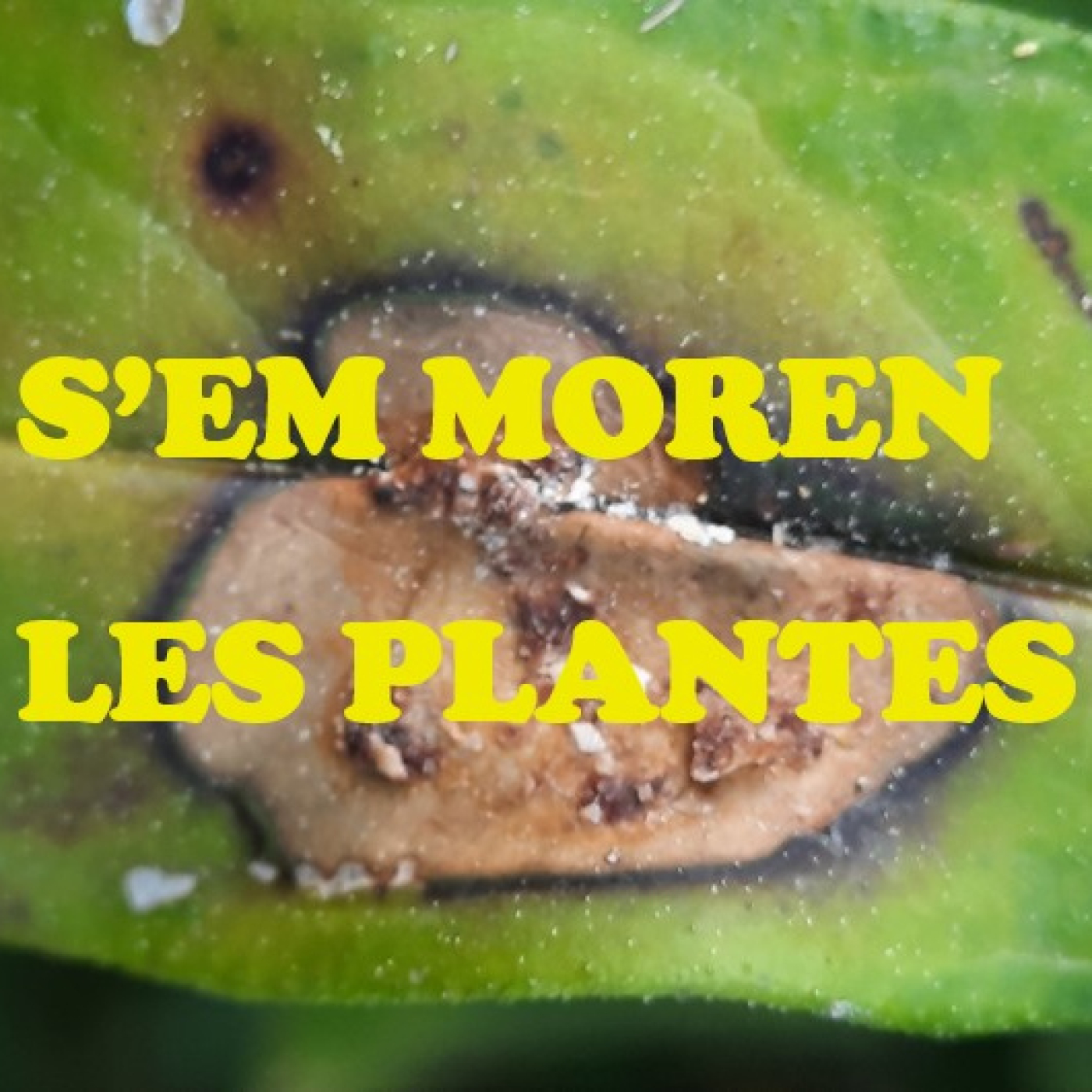 S'em moren les plantes cover art