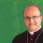 embed image