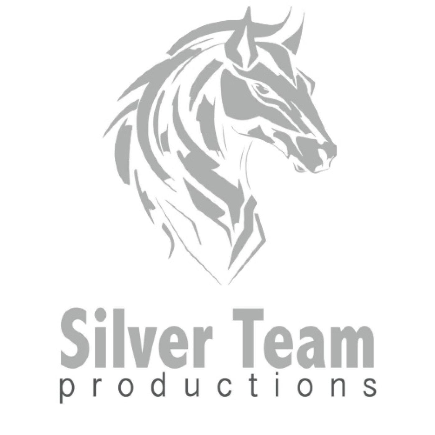 SILVER TEAM PRODUCTIONS