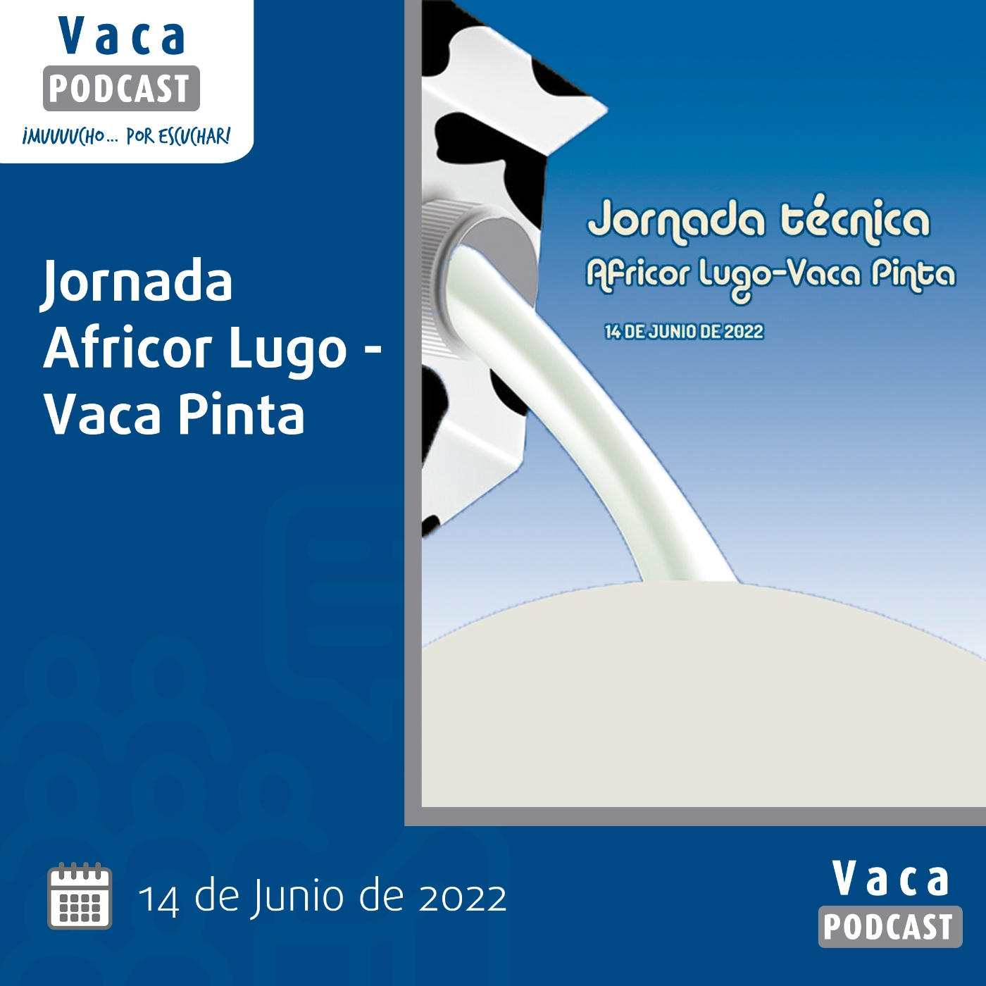 Jornadas Africor 2022