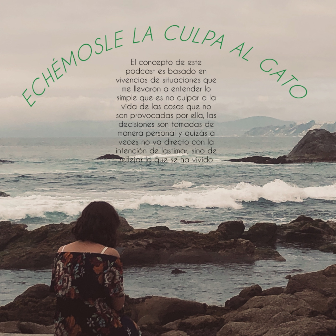 Echémosle la culpa al gato