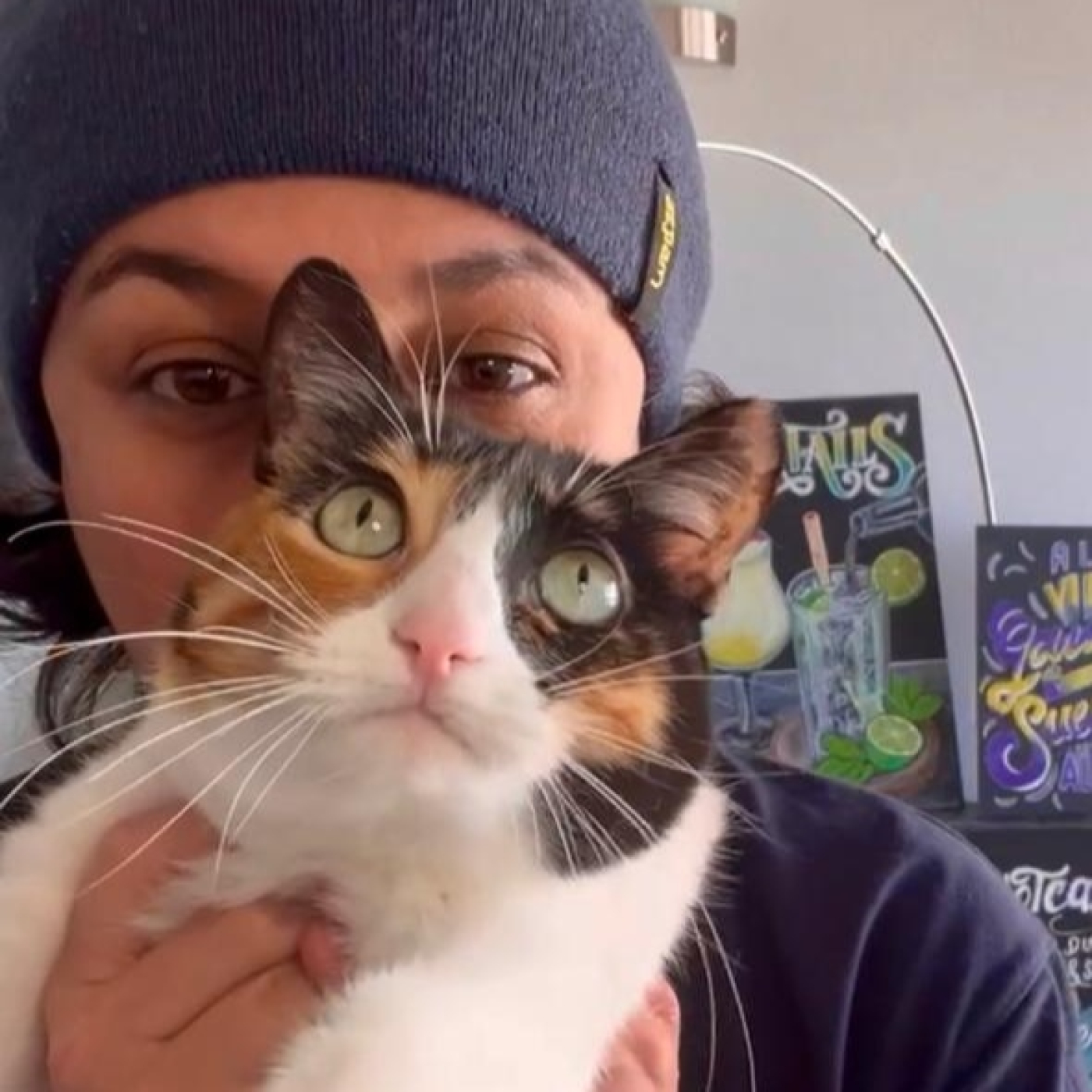 La Loca de los Gatos – Nueva Temporada