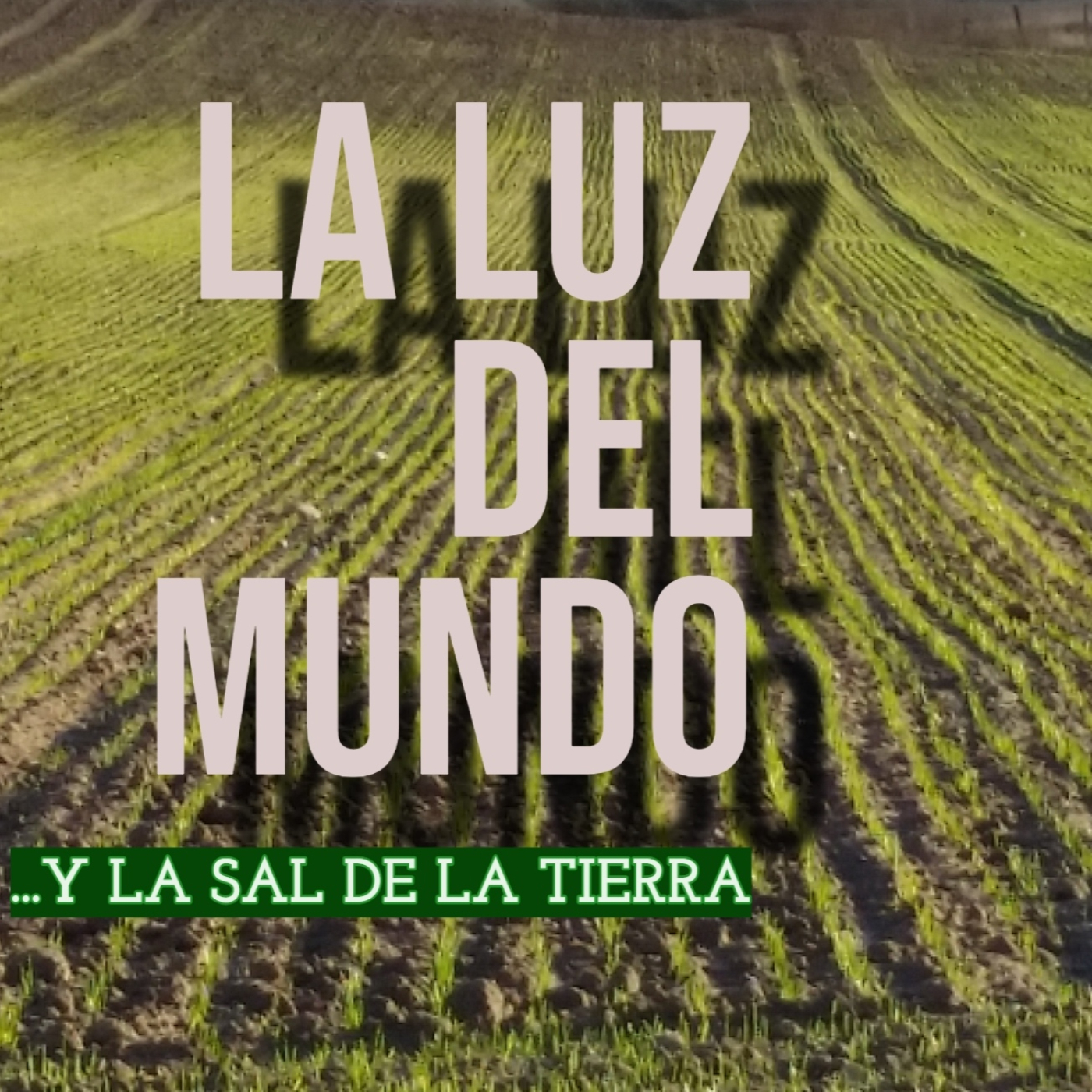 La Luz del mundo y la Sal de la tierra