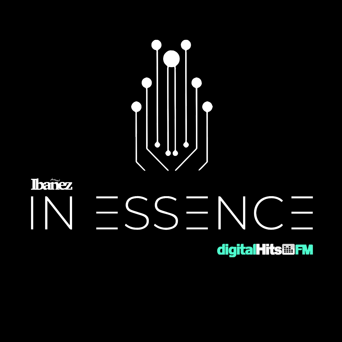 Ibanez In Essence