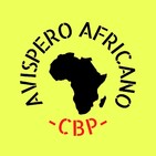 El Avispero Africano