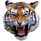 Radio El Tigre FM 97.5