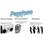 Pegajosa Radio