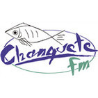 - Chanquete Costa del Sol