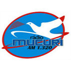 Radio Pulso