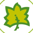 Vías Verdes - FFE